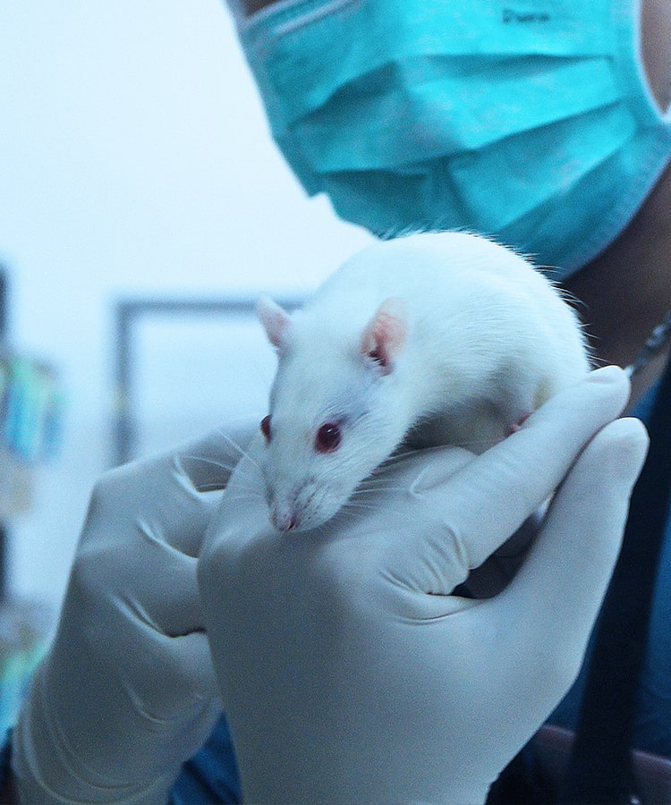 ศูนย์สัตว์ทดลอง