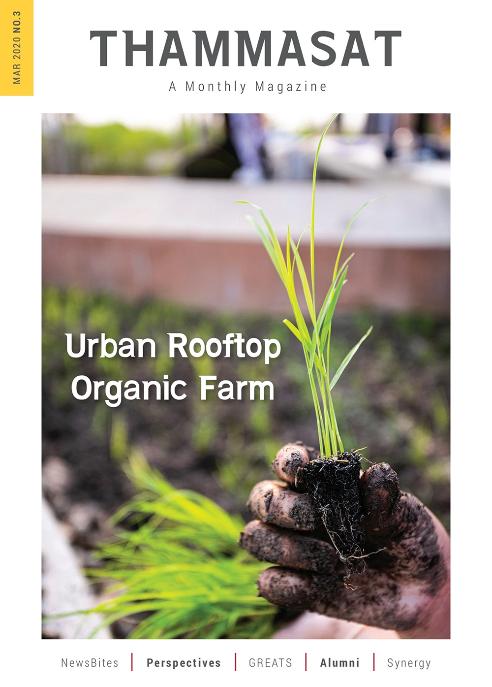 จุลสารธรรมศาสตร์ ฉบับที่ 3 เดือนมีนาคม 2563