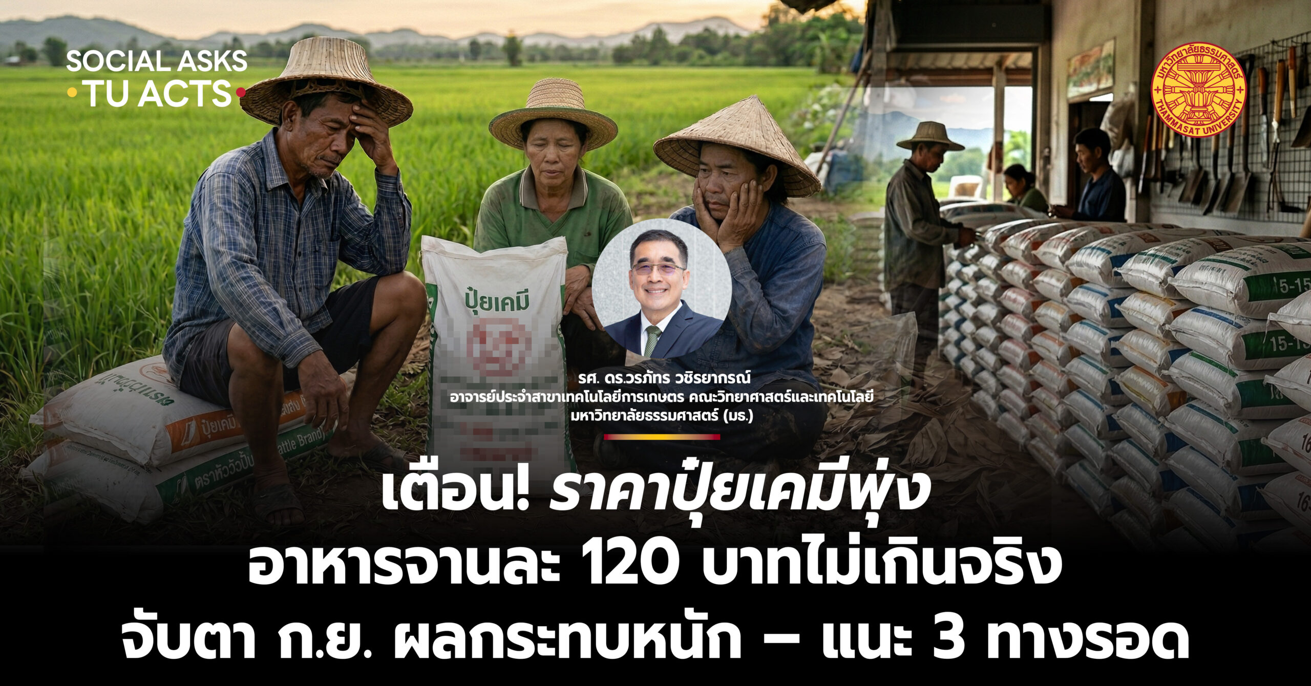 นักวิชาการ มธ. เตือน! ราคาปุ๋ยเคมีพุ่ง อาหารจานละ 120 บาทไม่เกินจริง จับตา ก.ย. ผลกระทบหนัก – แนะ 3 ทางรอด